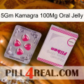 5Gm Kamagra 100Mg Oral Jelly 32